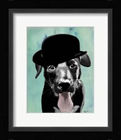 Black Labrador in Bowler Hat Framed Print