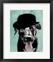 Black Labrador in Bowler Hat Framed Print