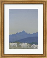 Three Pairs of White Bulls in Front of the Mountains Fine Art Print