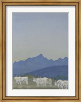 Three Pairs of White Bulls in Front of the Mountains Fine Art Print