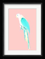 Summer Parrot Fine Art Print
