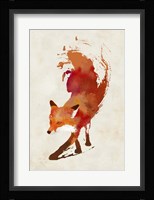Vulpes Vulpes Fine Art Print