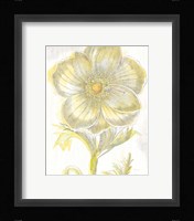 Belle Fleur Yellow II Crop Fine Art Print