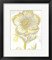 Belle Fleur Yellow II Crop Framed Print