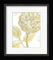 Belle Fleur Yellow III Crop Fine Art Print