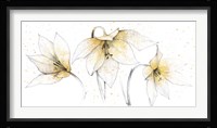 Gilded Graphite Floral Trio Fine Art Print