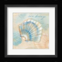 Watercolor Shell Sentiments I Framed Print