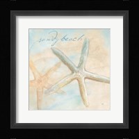 Watercolor Shell Sentiments II Fine Art Print