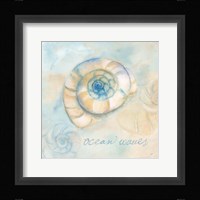 Watercolor Shell Sentiments III Framed Print