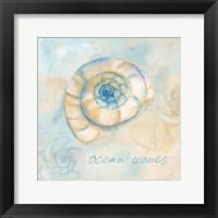 Watercolor Shell Sentiments III Framed Print