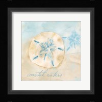 Watercolor Shell Sentiments IV Framed Print