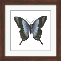 Butterfly Botanical I Fine Art Print