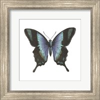 Butterfly Botanical I Fine Art Print