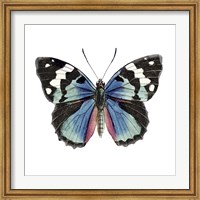 Butterfly Botanical II Fine Art Print