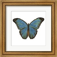 Butterfly Botanical III Fine Art Print