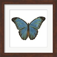Butterfly Botanical III Fine Art Print
