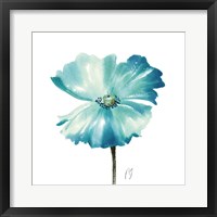 Poppies Tempo II Framed Print