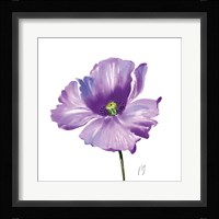 Poppies Tempo IV Framed Print