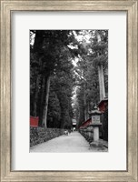 Road To The Temple Fine Art Print