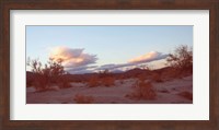 Desert And Sky Fine Art Print