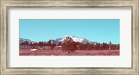 Mammoth Mountain Fine Art Print