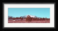 Mammoth Mountain Framed Print