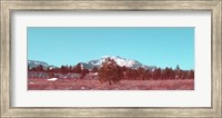 Mammoth Mountain Fine Art Print