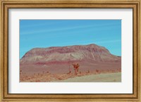 Desert Mountain Fine Art Print