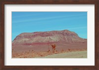 Desert Mountain Fine Art Print