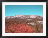 Sierra Nevada Mountains Fine Art Print
