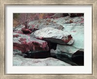 Sierra Nevada Forest Fine Art Print