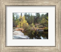 Lake In The Forest Fine Art Print