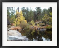 Lake In The Forest Fine Art Print