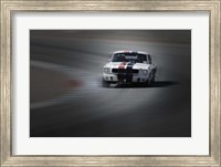 Mustang on the racing Circuit Fine Art Print