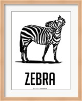 Zebra Black Fine Art Print