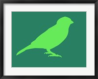 Light Green Bird Fine Art Print