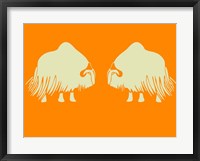 Two White Oxes Framed Print