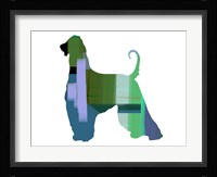 Afghan Hound 1 Fine Art Print