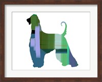 Afghan Hound 1 Fine Art Print