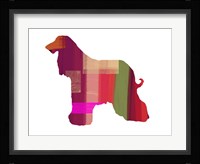 Afghan Hound 2 Fine Art Print