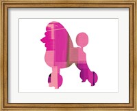 French Poodle Fine Art Print