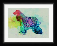 Afghan Hound Watercolor Fine Art Print