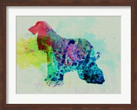 Afghan Hound Watercolor Fine Art Print