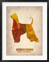 Afghan Hound Fine Art Print