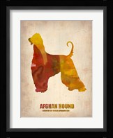 Afghan Hound Fine Art Print