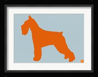 Standard Schnauzer Orange Fine Art Print