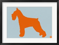 Standard Schnauzer Orange Fine Art Print