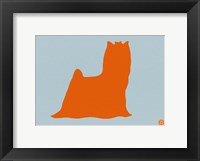 Yorkshire Terrier Orange Fine Art Print