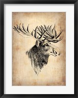 Vintage Moose Fine Art Print