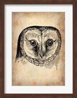 Vintage Owl Fine Art Print